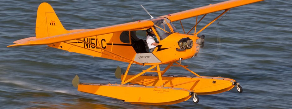 American Legend Cub Taildragger Aircraft